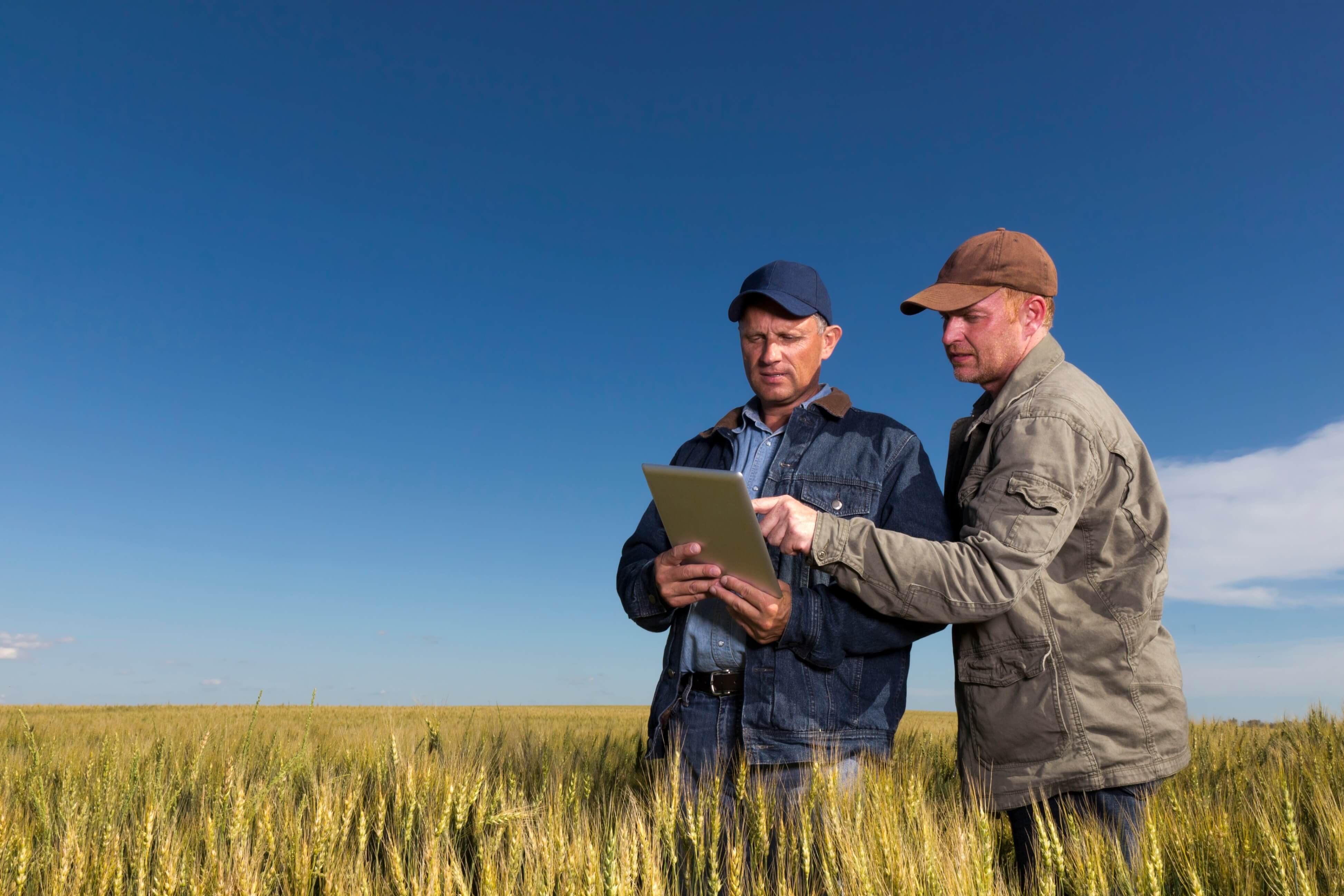 The latest knowledge for your next best yield.